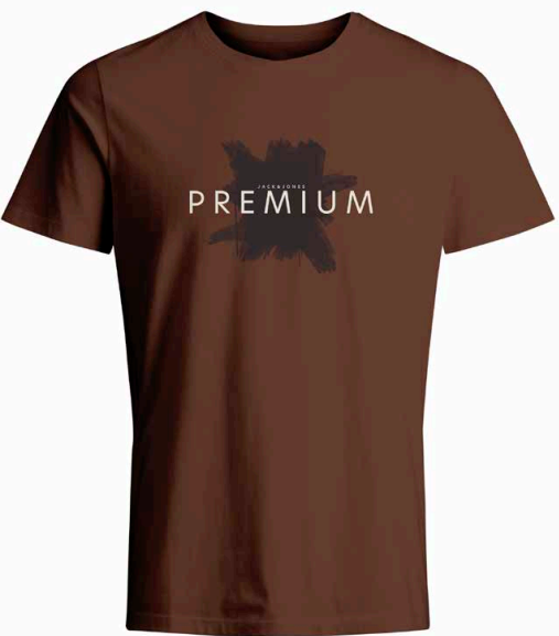 JPRBLAFRED T-Shirt - Downtown Brown