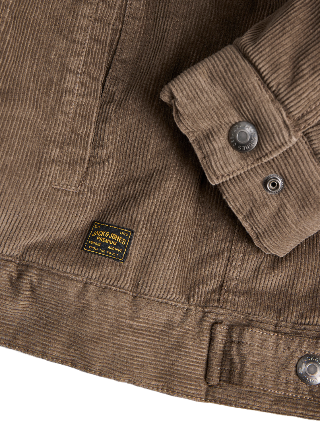 model_shot-detail