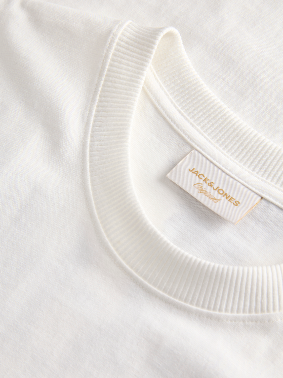 model_shot-detail