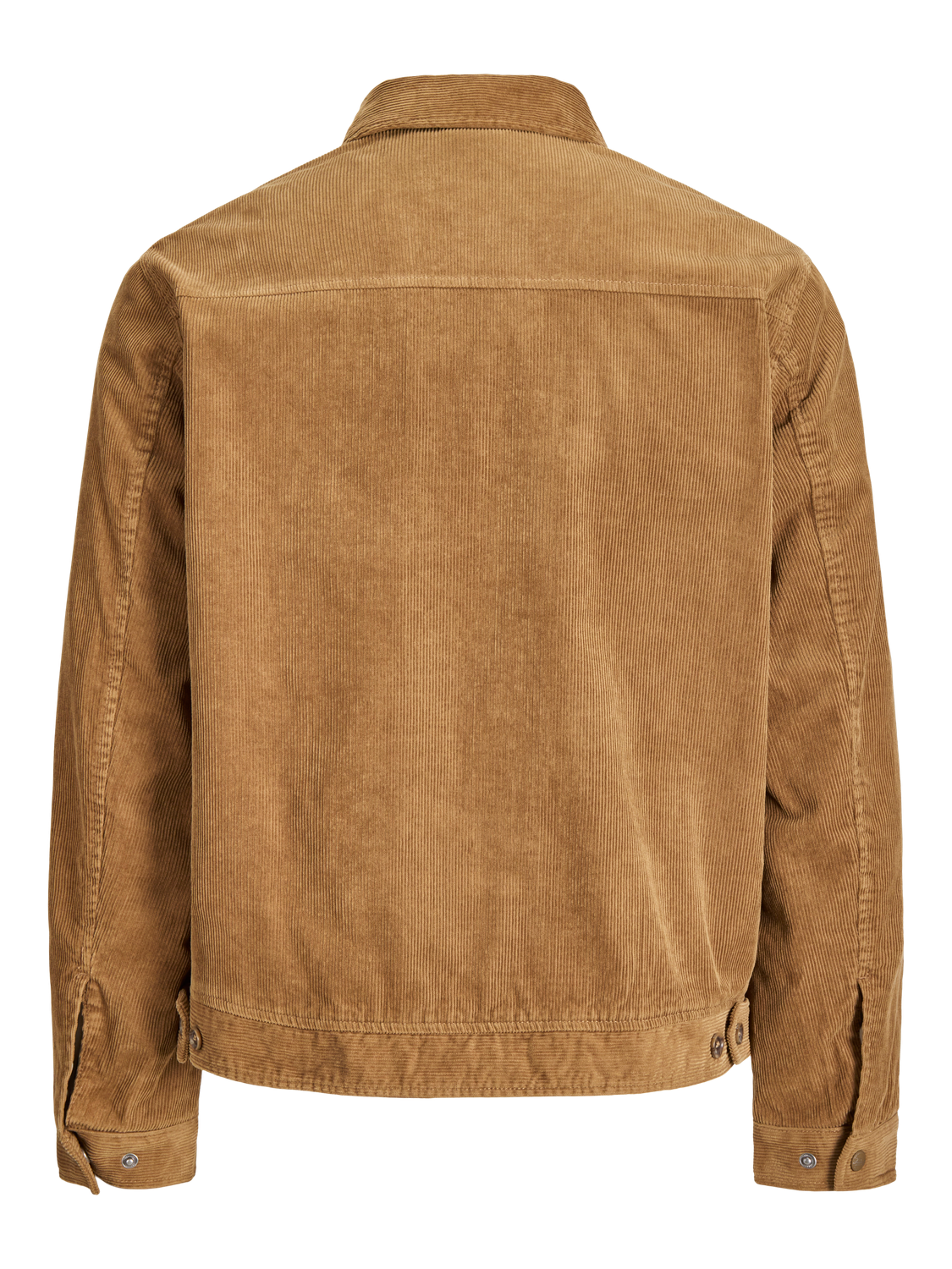 model_shot-front